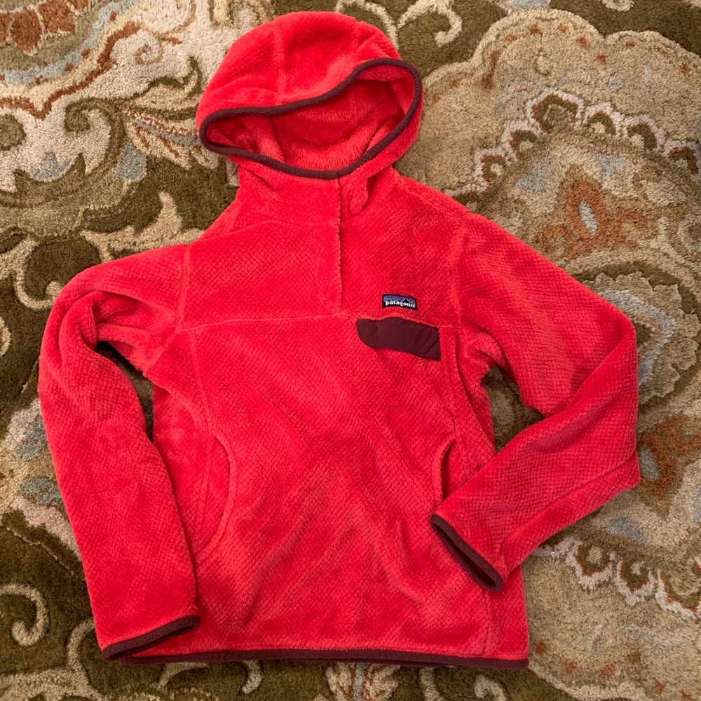 Patagonia Hooded Synchilla Fleece Pullover